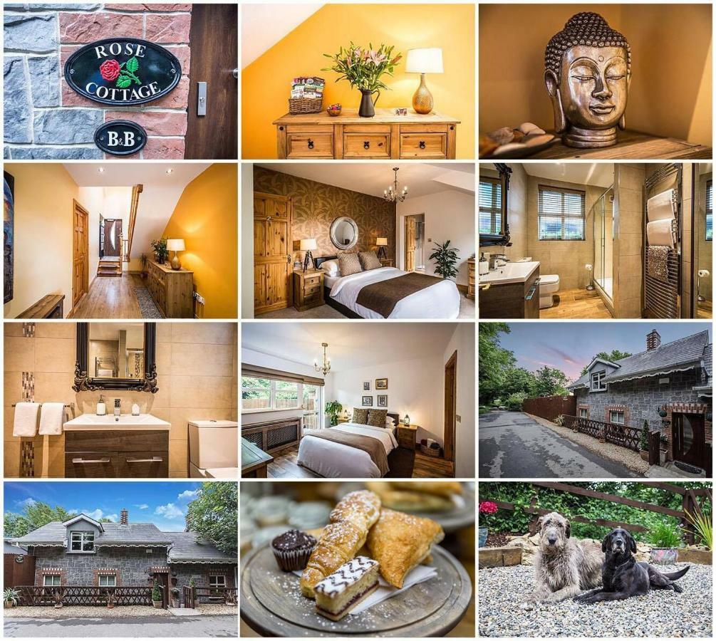 Rose Cottage B&B Swords Εξωτερικό φωτογραφία